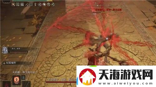 艾尔登法环尸山血海怎么加点