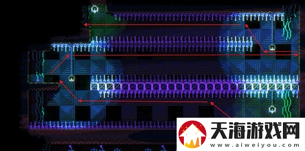 动物井刺兔收集位置
